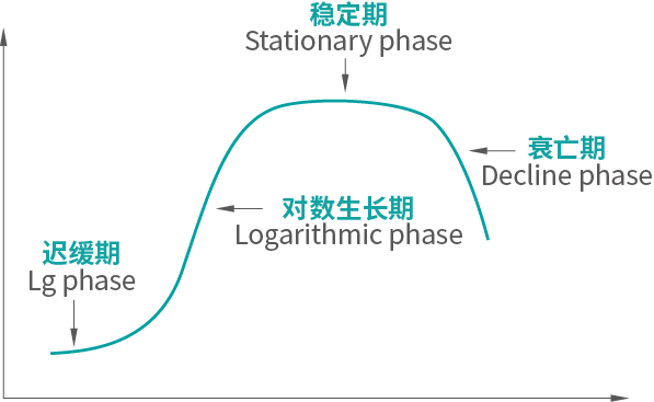 微生物生長曲線測定